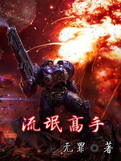 流氓高手 作者:无罪