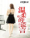 温柔的谎言 作者:九问