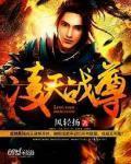 凌天战尊 作者:风轻扬