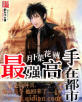 最强高手在都市 作者:月下菜花贼