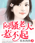 闷骚老大惹不起 作者:祸水泱泱