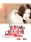 宠妻自成——婚天爱地 作者:疏微