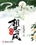 无尽相思风 作者:无敌南瓜