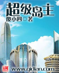超级岛主 作者:傻小四