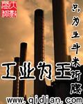 工业为王 作者:只为五斗米折腰
