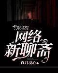 网络新聊斋 作者:真月羽心