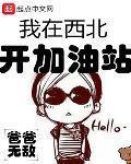 我在西北开加油站 作者:爸爸无敌