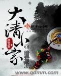 大清小家 作者:唐雪熏